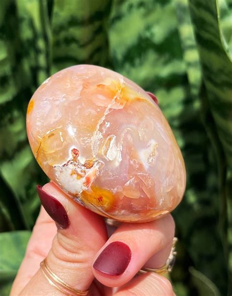 Flower Agate: The Enchanting Stone of Growth and Transformation