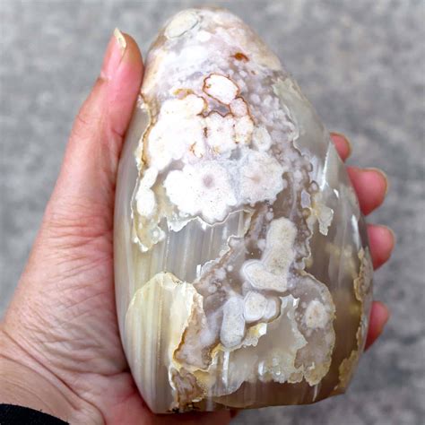 Flower Agate Crystal: 16 Fascinating Facts That Will Astound You