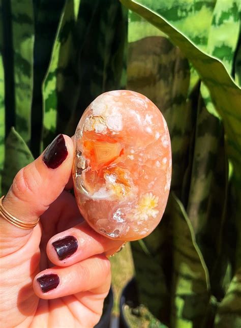 Flower Agate Crystal: The Stone of Growth and Transformation