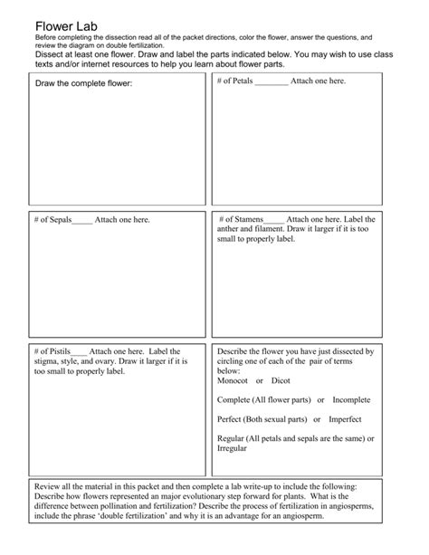 Flower Anatomy Lab Answers Reader
