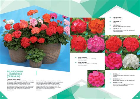Flower Catalogs By Mail