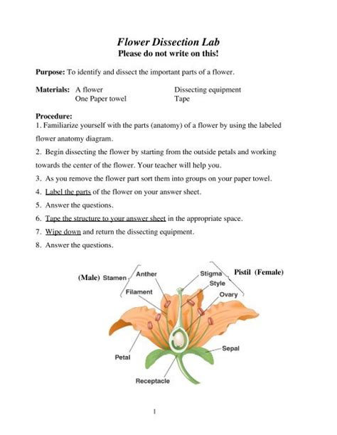 Flower Dissection Lab Answer Key Reader