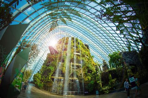 Flower Dome and Cloud Forest: Experience Nature in Singapore's Gardens by the Bay