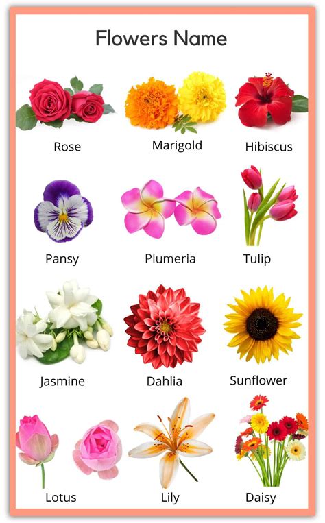 Flower Name Chart