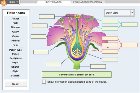 Flower Pollination Explore Learning Gizmo Answers Bing Kindle Editon