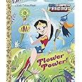 Flower Power DC Super Friends Little Golden Book