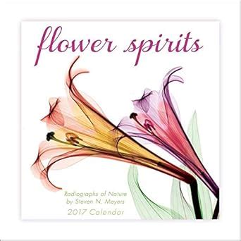 Flower Spirits 2017 Mini Calendar Doc