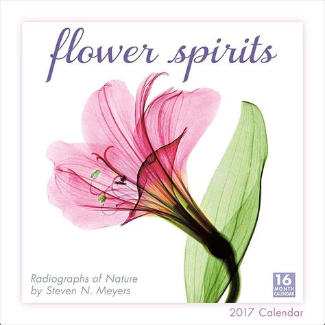 Flower Spirits 2017 Wall Calendar Reader