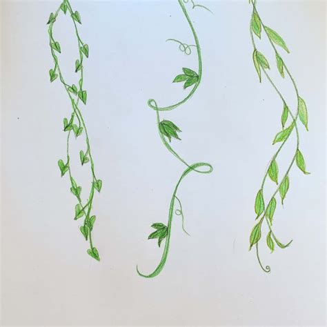 Flower Vines Drawing Easy: A Comprehensive Guide for Artists of All Levels