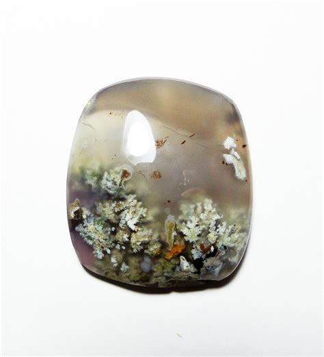 Flowering Agate: A Gemstone with an Extraordinary Story