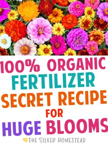 Flowering Fertilizer: The Essential Guide to Boosting Blooms