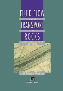 Fluid Flow and Transport in Rocks Mechanisms and Effects 1st Edition Kindle Editon