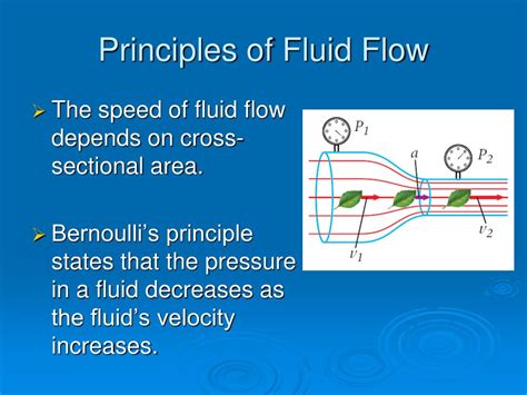 Fluid Principles Kindle Editon