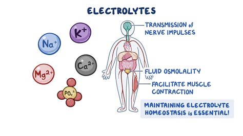 Fluid and Electrolytes PDF