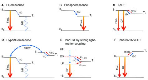 Fluorescence: A Luminescent Dance of Light