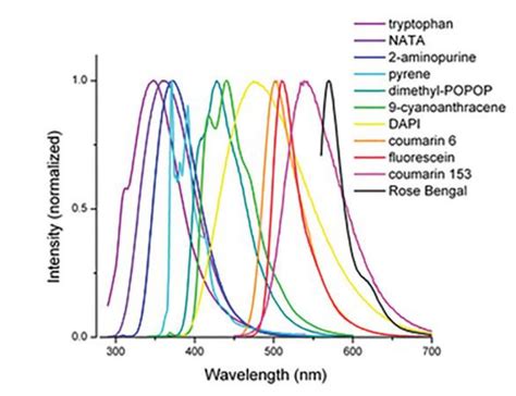 Fluorescence Intensity: