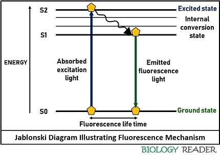 Fluorescence Mechanism