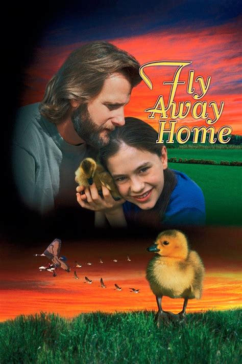 Fly Away Home Reader