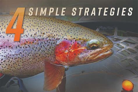 Fly Fishing Strategies & Tactics How Kindle Editon