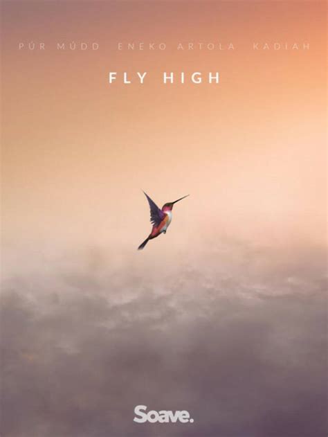 Fly High with 