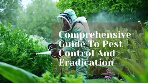 Fly and Bug Control: A Comprehensive Guide to Eradication