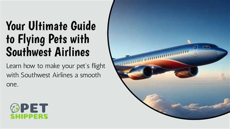 Flying a Pet on Southwest Airlines: Your Ultimate Guide