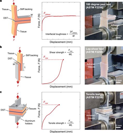 Foaming Adhesive Testing: A Comprehensive Guide to Ensuring Adhesion Performance