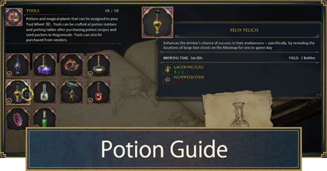 Focus Potions in Hogwarts Legacy: A Comprehensive Guide