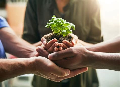 Focus on Social Impact: