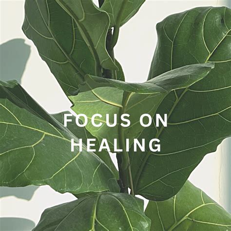 Focus on healing: