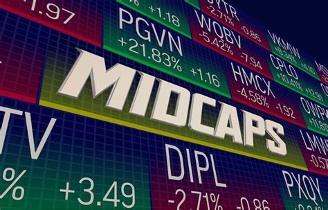 Focus on mid-cap companies: