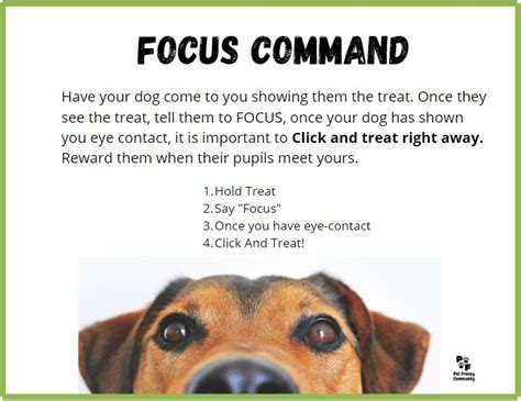 Focus on the Command: