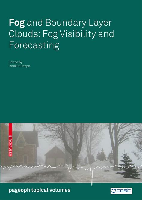 Fog and Boundary Layer Clouds Fog Visibility and Forecasting 1st Edition PDF