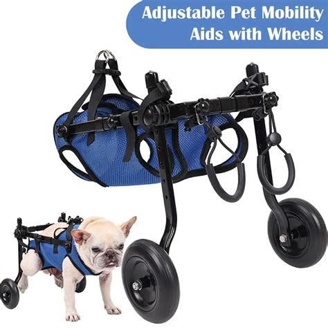 Foldable Dog Steps: A Comprehensive Guide to Mobility Assistance for Your Canine Companion