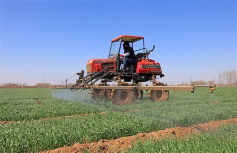 Foliar Feed Fertilizer: 22 Essential Tips for Maximizing Results