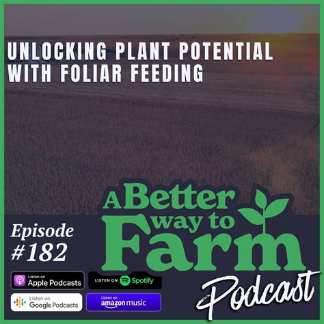 Foliar Feeding: Unlocking Plant Potential with 10,000+ Benefits