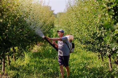 Foliar feeding: