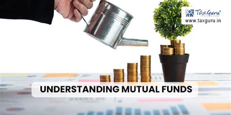 Fondos: A Guide to Understanding and Utilizing Mutual Funds