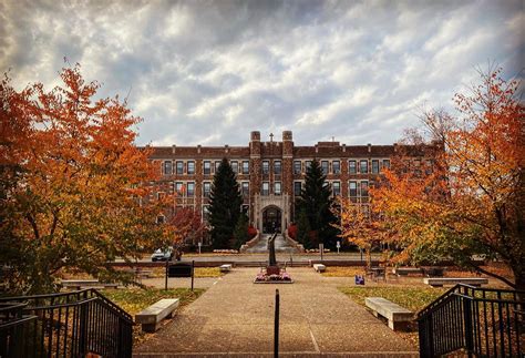 Fontbonne University Careers: Nurturing Success in a Dynamic Job Market