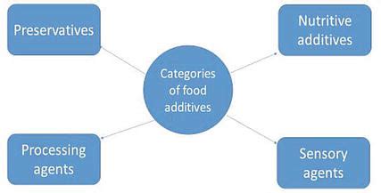 Food Additives, Recent Developments Kindle Editon