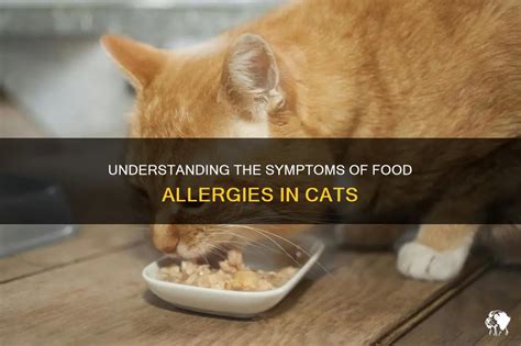 Food Allergies in Cats: 10,000+ Facts to Uncover