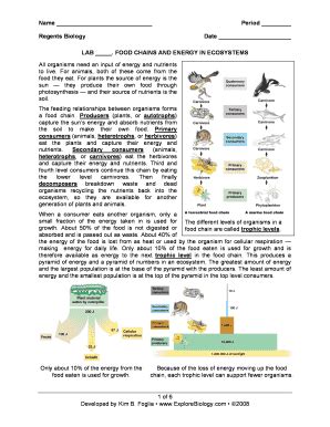 Food Chains And Ecosystem Lab Answers Doc