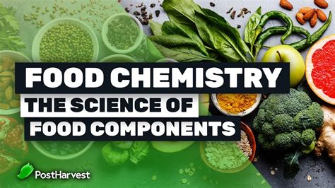 Food Chemistry Kindle Editon