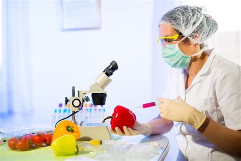 Food Science Technician: The Vital Force Behind Our Food Industry
