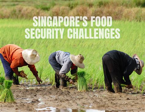 Food Security Challenges in Singapore