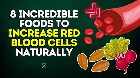 Food to Increase Red Blood Cells: A Guide to Getting Healthier Blood