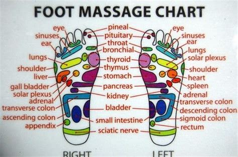 Foot Massage Chart Chinese
