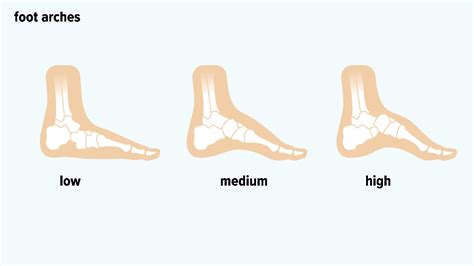 Foot Shape and Width: