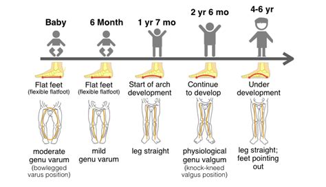 Foot development