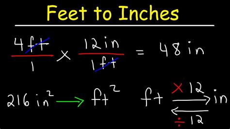 Foot to Inches: A Comprehensive Guide for Conversion